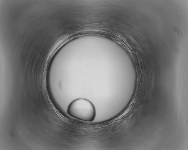 X0000112060101200908041019