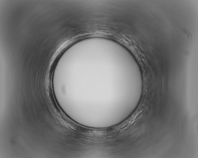 X0000112060102200908041019