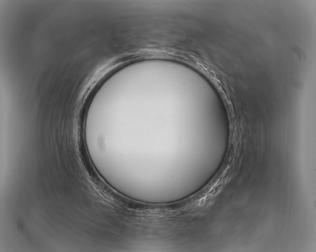 X0000112060103200908041019