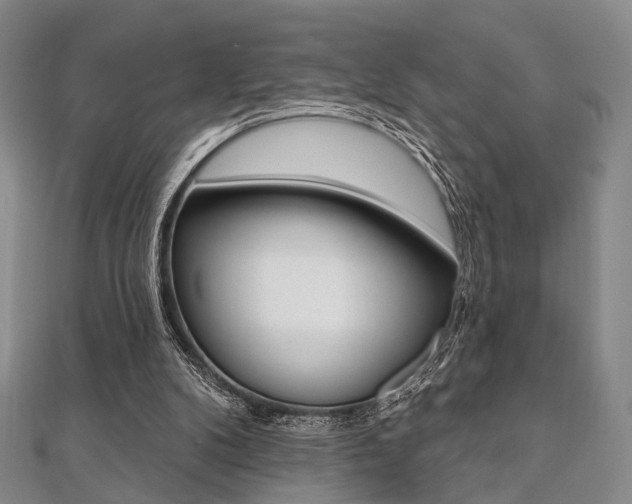 X0000112060104200908041019