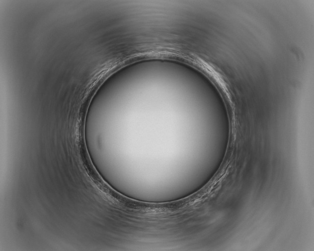 X0000112060105200908041019