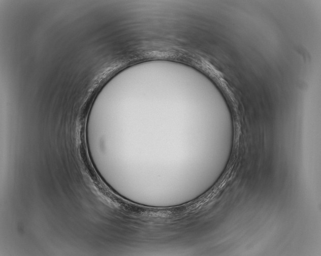 X0000112060106200908041019