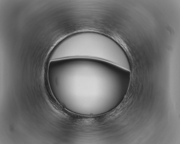 X0000112060108200908041019
