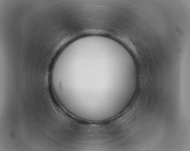X0000112060111200908041019