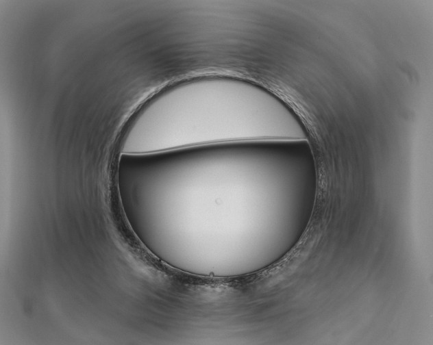 X0000112060112200908041019