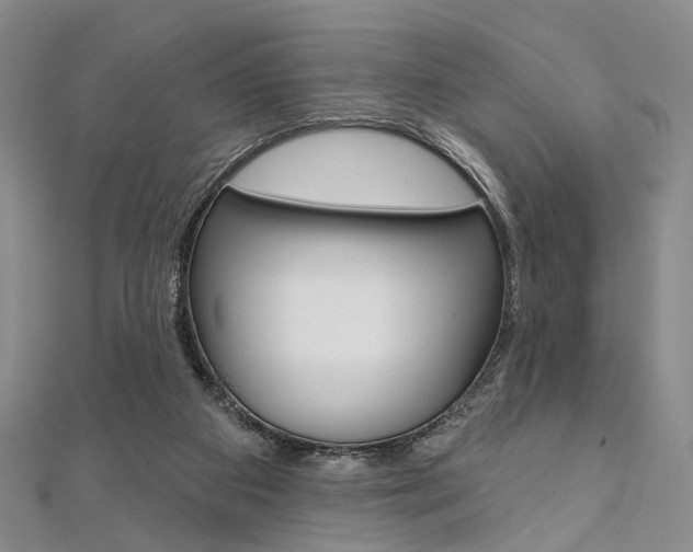X0000112060113200908041019