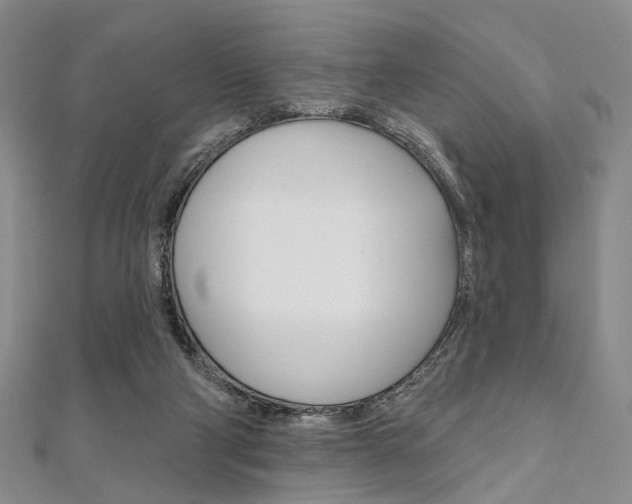 X0000112060114200908041019