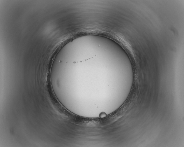 X0000112060115200908041019