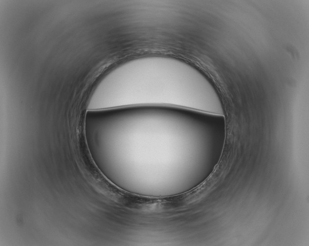 X0000112060116200908041019