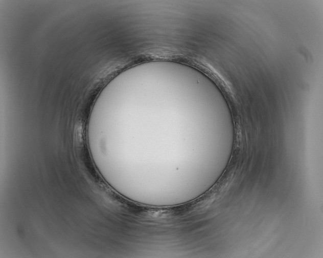 X0000112060117200908041019