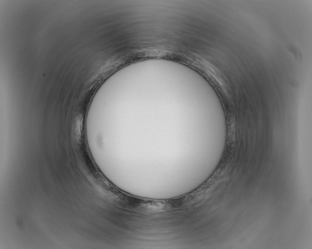 X0000112060118200908041019