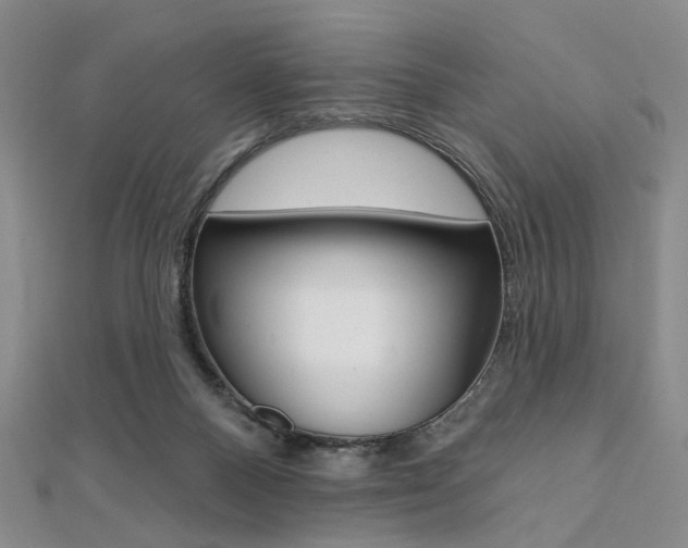 X0000112060120200908041019