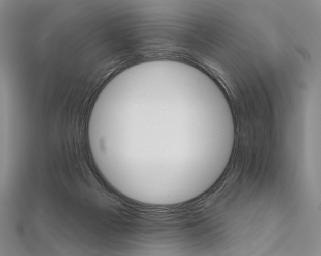 X0000112060121200908041019
