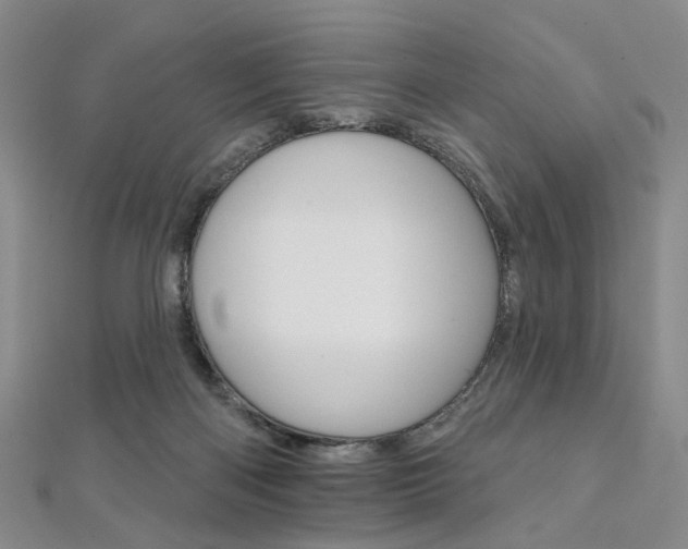 X0000112060122200908041019