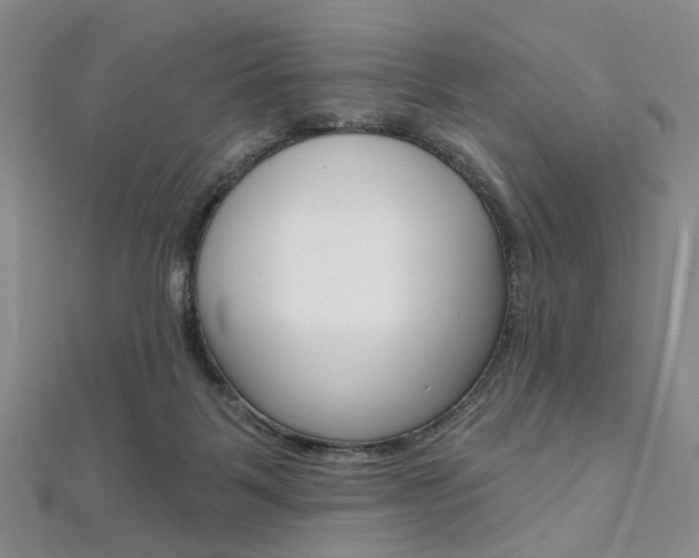 X0000112060123200908041019