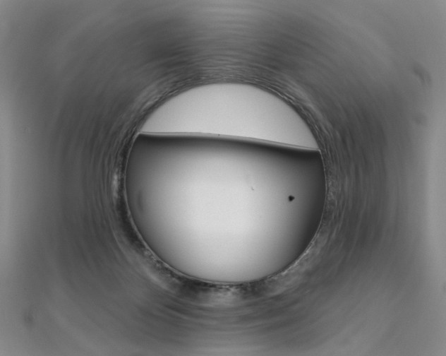 X0000112060124200908041019