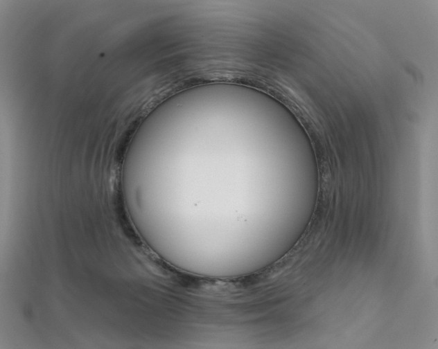 X0000112060125200908041019