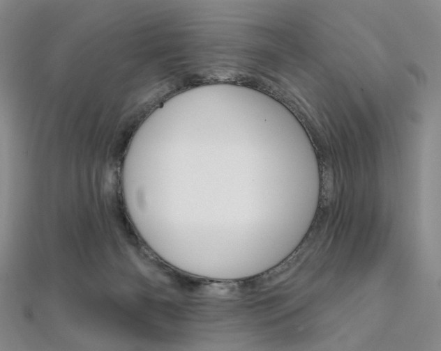 X0000112060126200908041019