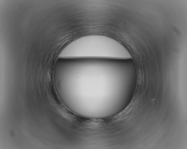 X0000112060128200908041019
