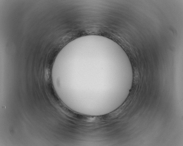 X0000112060130200908041019