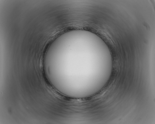 X0000112060131200908041019