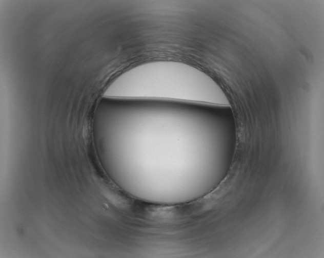 X0000112060132200908041019