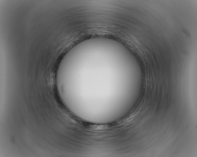 X0000112060135200908041019