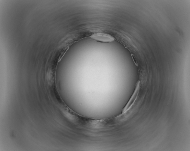 X0000112060136200908041019