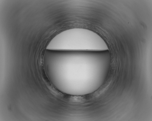 X0000112060137200908041019