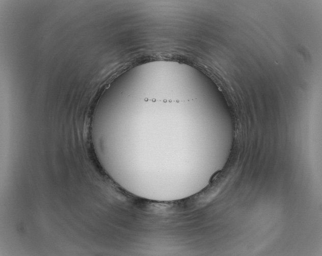X0000112060139200908041019