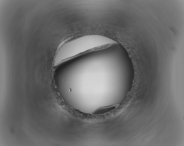 X0000112060144200908041019