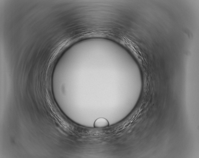 X0000112060145200908041018