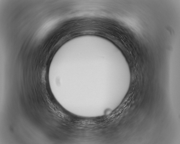 X0000112060146200908041018