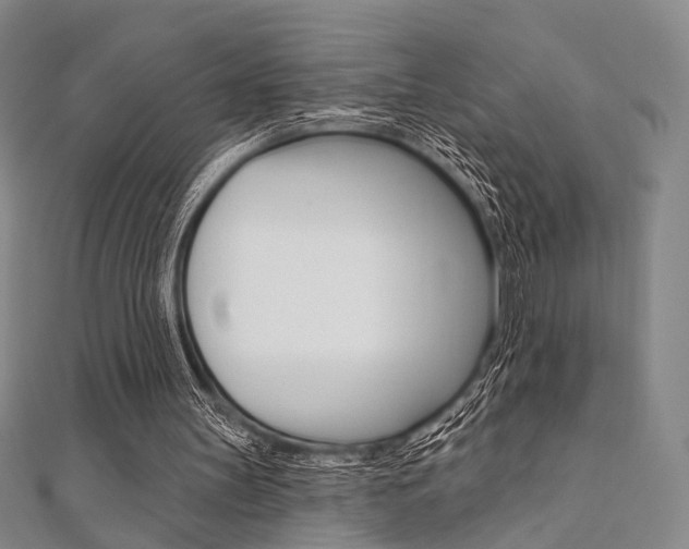 X0000112060147200908041018