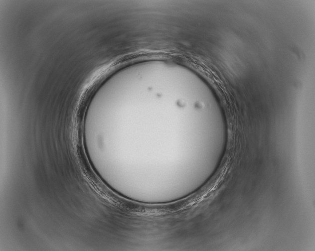 X0000112060149200908041018