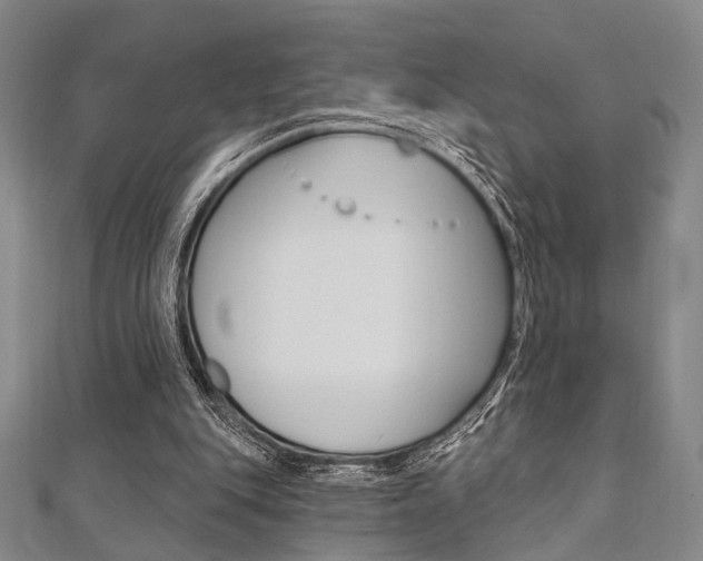 X0000112060151200908041018