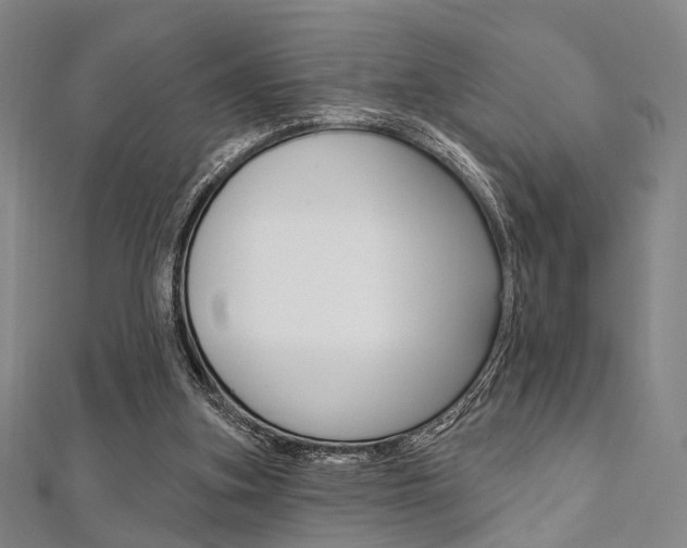 X0000112060155200908041018