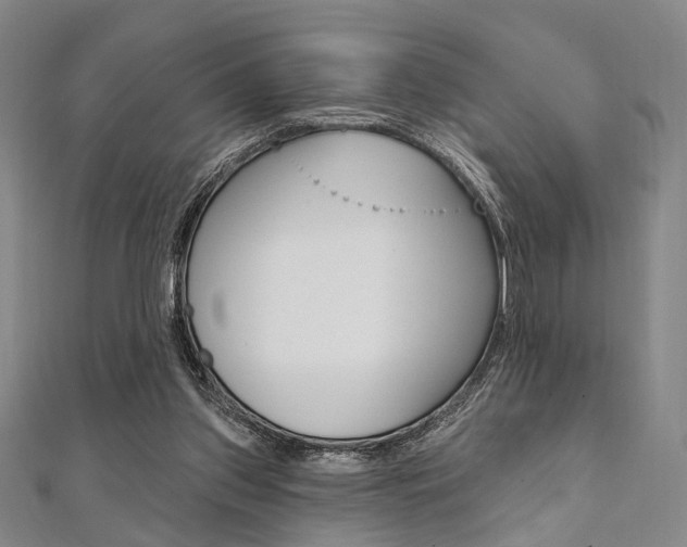 X0000112060157200908041018