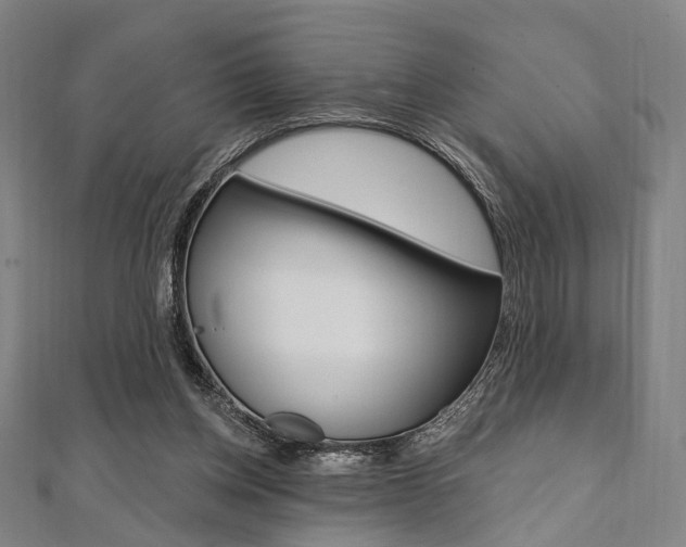 X0000112060158200908041018