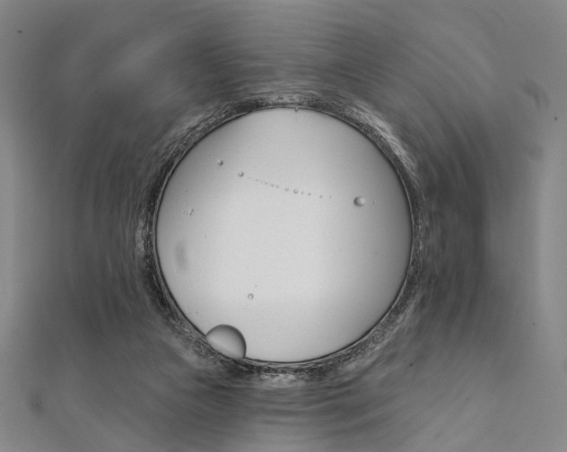 X0000112060161200908041018