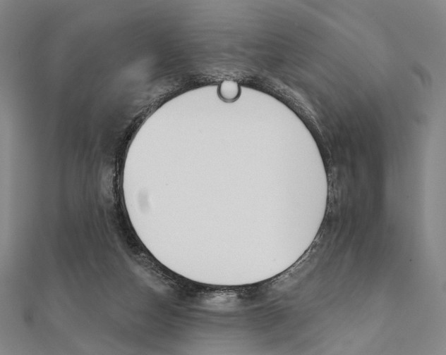 X0000112060162200908041018