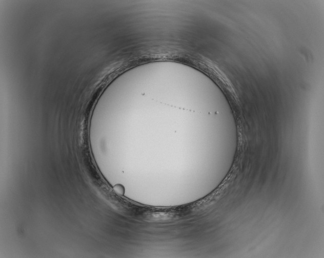 X0000112060163200908041018
