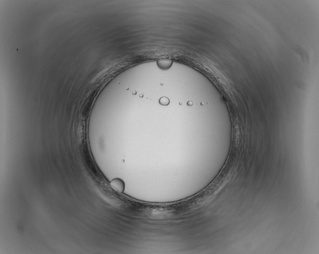X0000112060165200908041018
