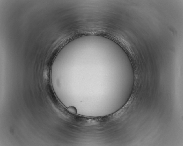 X0000112060166200908041018