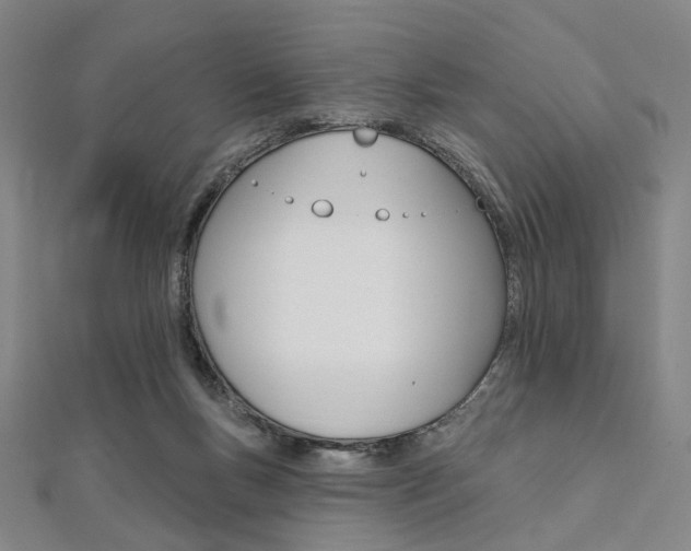 X0000112060167200908041018