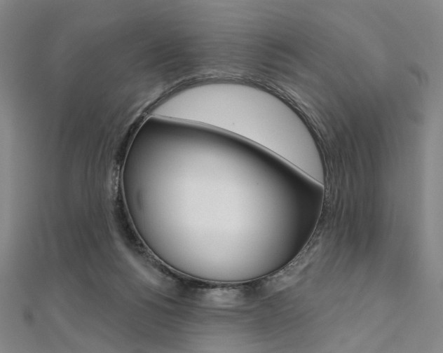 X0000112060168200908041018