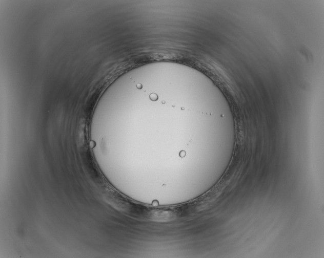 X0000112060169200908041018