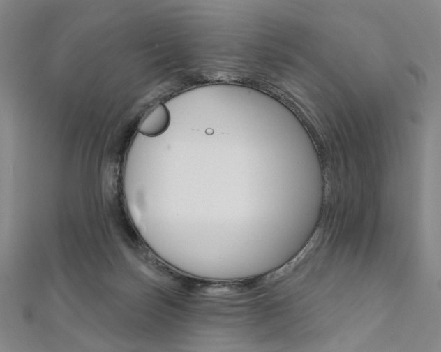 X0000112060171200908041018