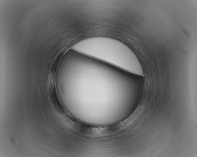 X0000112060172200908041018