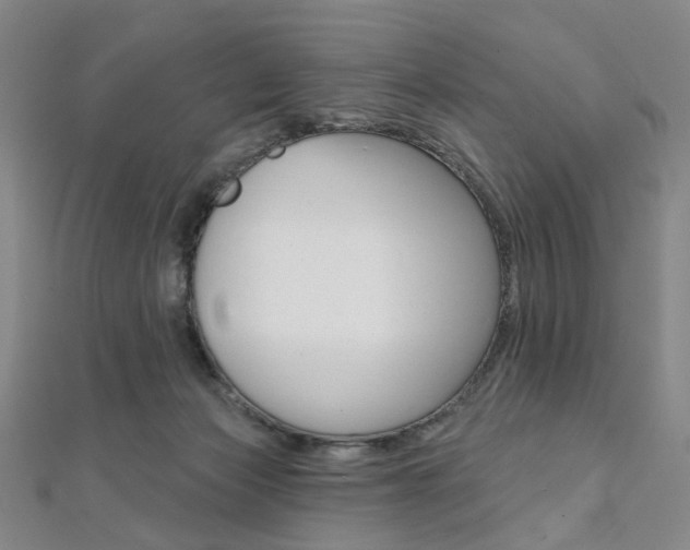X0000112060173200908041018